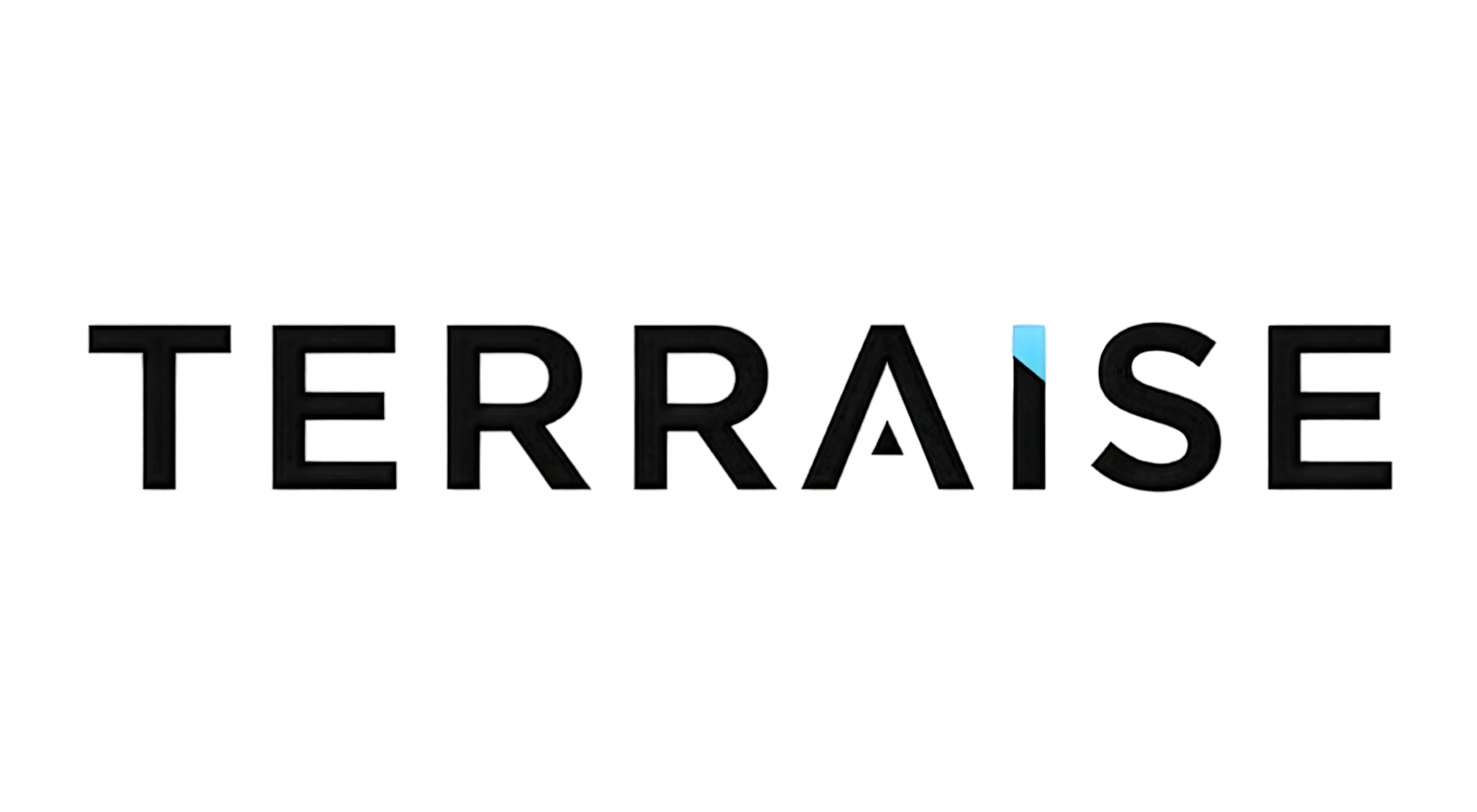 TERRAISE